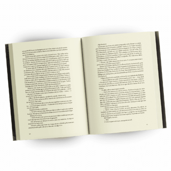 A Lenda de Ruff Ghanor Vol. 2 — O Herdeiro do Leão 2ª Edição - Image 3