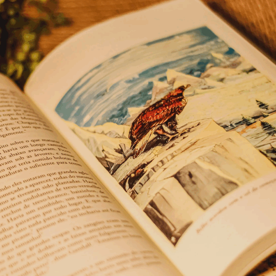 Kit Colecionador — O Hobbit — Edição Nerdstore - Imagem 3
