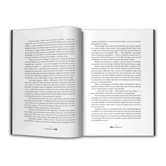 Crônicas de Raistlin Vol. 2 — Irmãos de Armas - Imagem 3